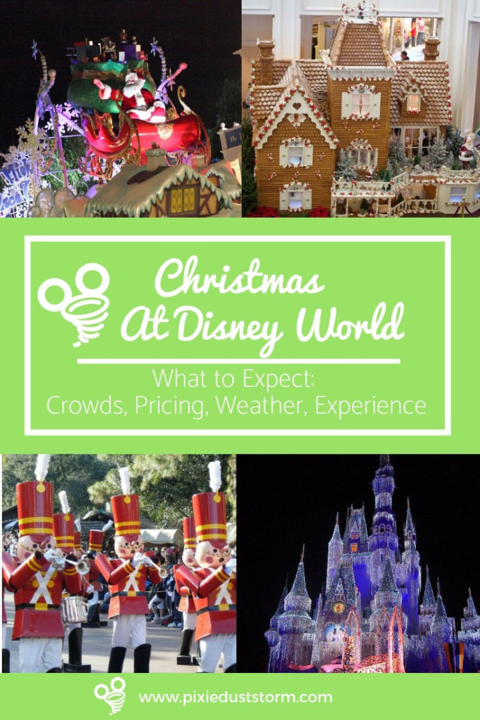 Disney World at Christmas Pixie Dust Storm