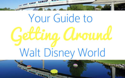 Getting Around Walt Disney World