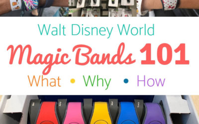 Magic Bands 101