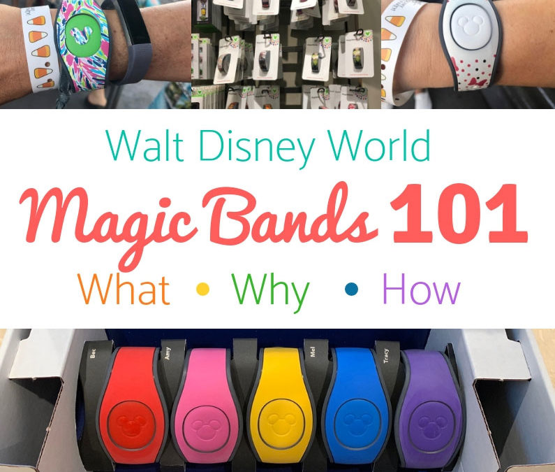Disney Magic Bands