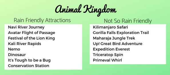 Animal Kingdom Rain Friendly Attractions