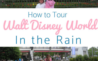 Walt Disney World in the Rain