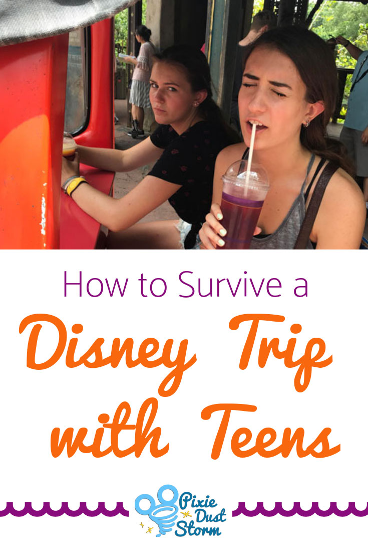 How to Survive Disney with a Teenager