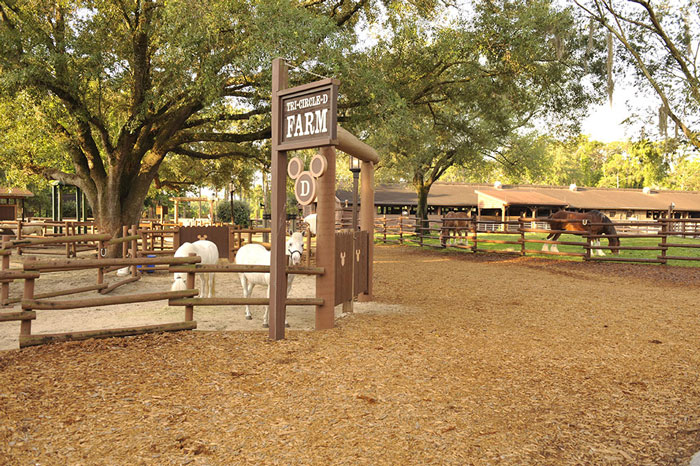 Fort Wilderness Tri-Circle D Ranch
