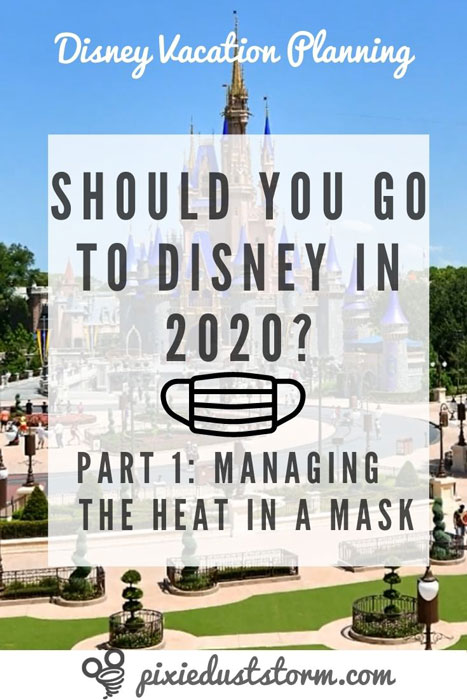 Should You Go to Disney in 2020?